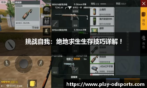 挑战自我：绝地求生生存技巧详解 !