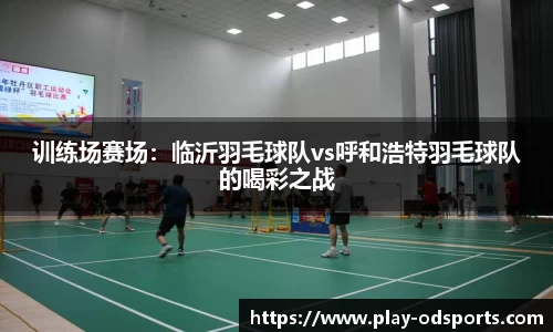 训练场赛场：临沂羽毛球队vs呼和浩特羽毛球队的喝彩之战